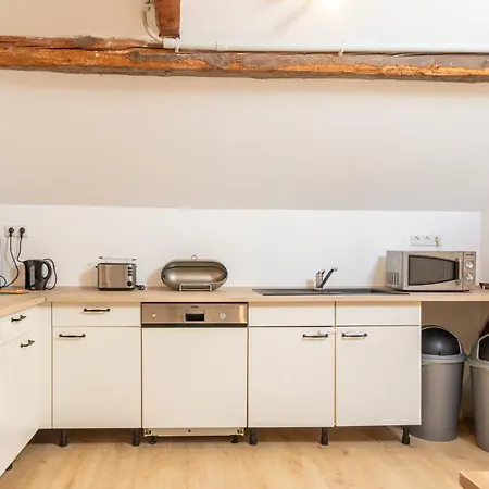 Διαμέρισμα Naehe Mainz In Ehemaligem Weingut Mit 6 Schlafzimmer